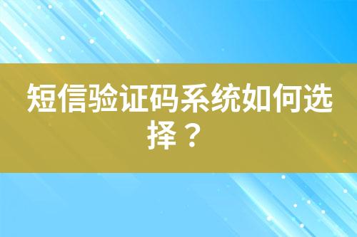 短信驗(yàn)證碼系統(tǒng)如何選擇？