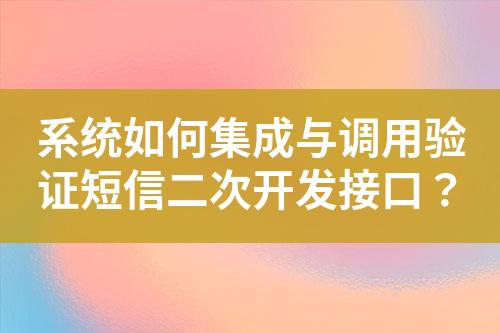 系統(tǒng)如何集成與調(diào)用驗(yàn)證短信二次開發(fā)接口？